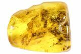 Detailed Fossil Fly (Diptera) In Baltic Amber #87063-1